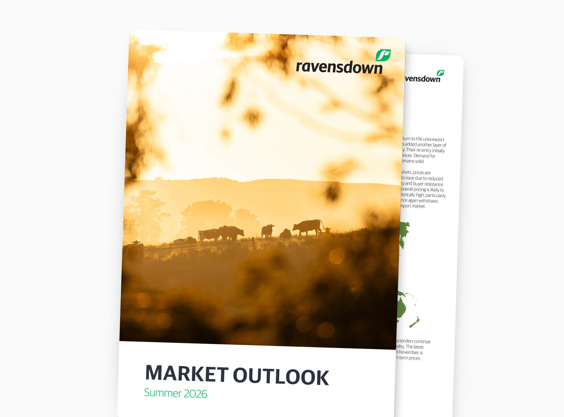 Market Outlook Summer 2026 Article Image