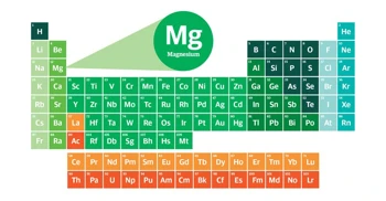 Elementary Essentials Magnesium