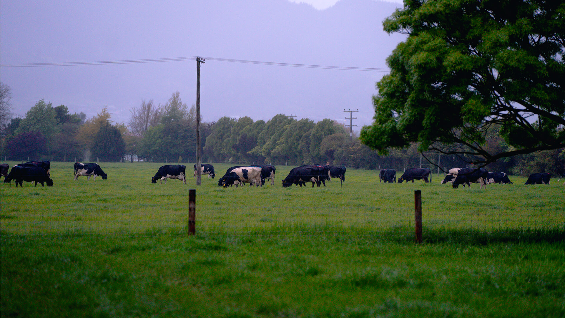 Stormy Weather On Farm (1)