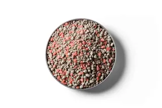 20% Potash Sulphur Super fertiliser granules in a round dish