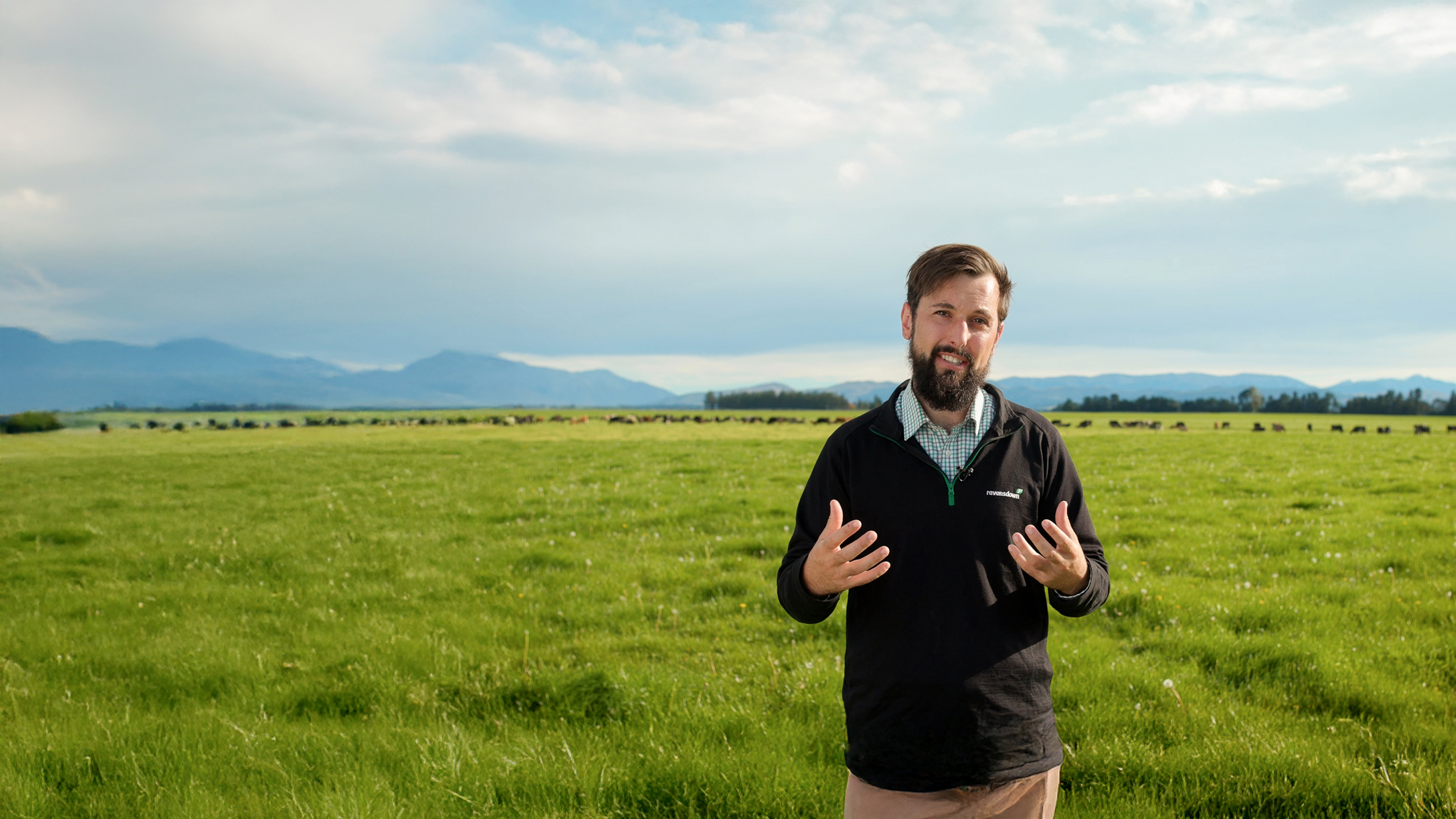 Nitrogen Testing V30 2