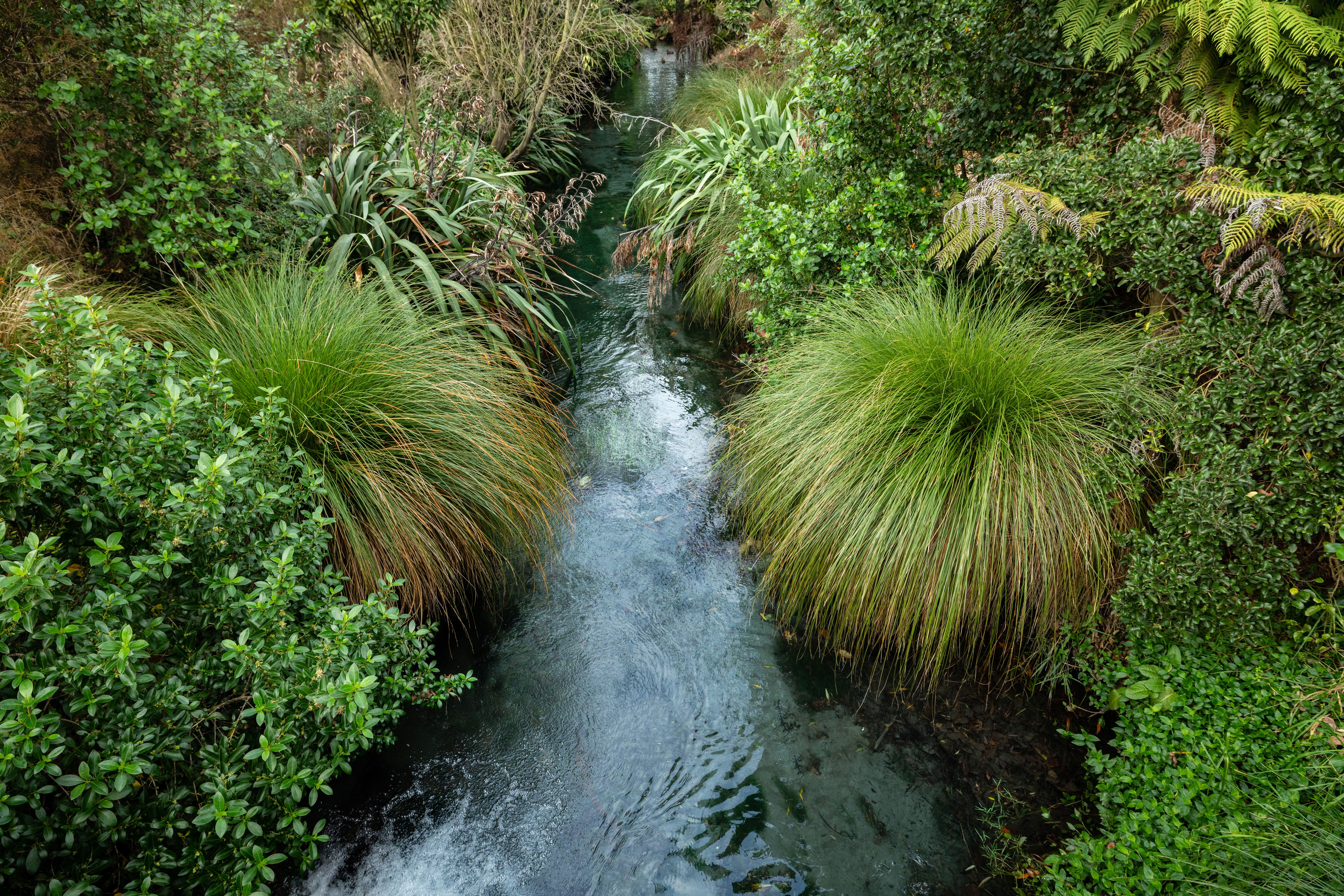 230626 Ravensdownriver 01