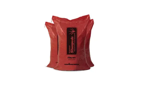 Stampede 25KG 700X420