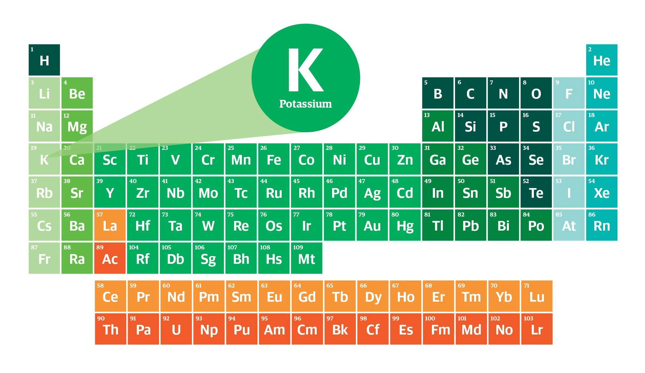 Elementary Essentials P