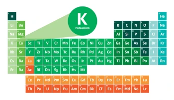 Elementary Essentials P