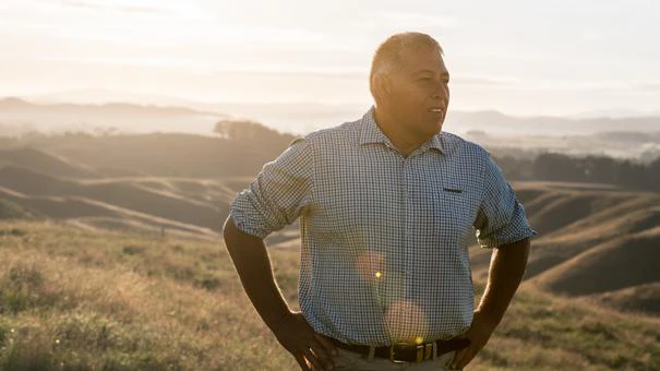 George Williams Hawkesbay Sheep Beef