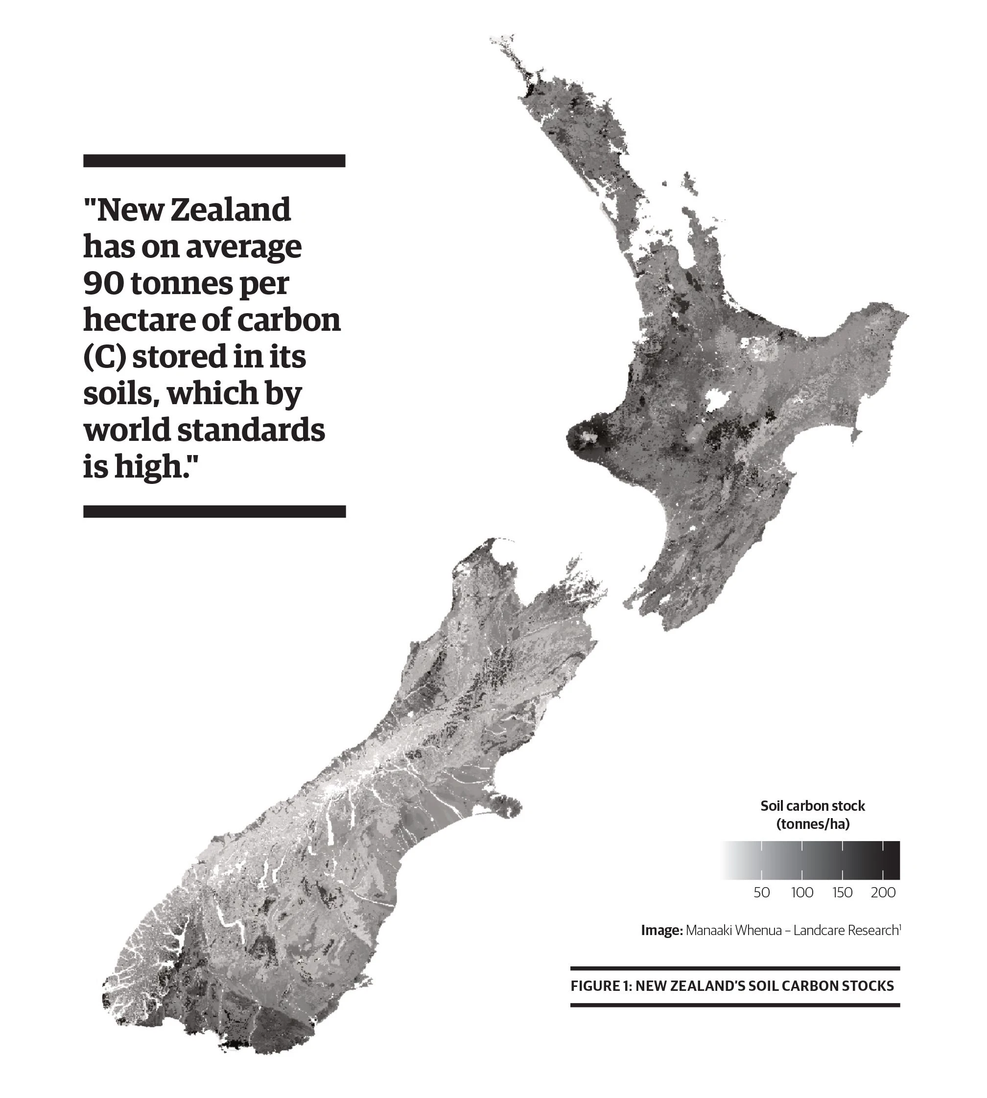 NZ Soil Carbon Stocks Graphic
