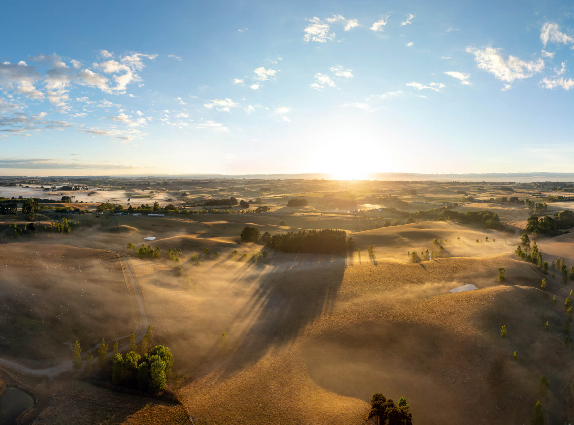 Market Outlook Article Image